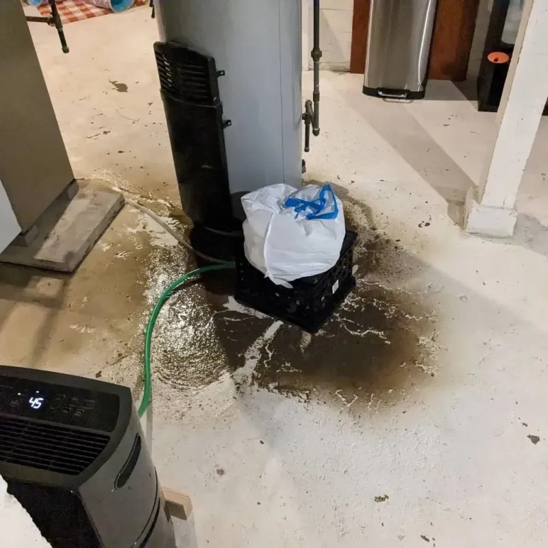 Sewage Backup Cleanup Service in Rio Blanco County, CO